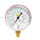REFCO M2-250-DS-R290 manométer